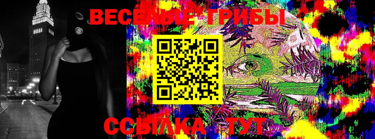 Псилоцибиновые грибы GOLDEN TEACHER  купить  цена  Междуреченск  Галлюциногенные грибы прущие грибы  Вход с VPN 